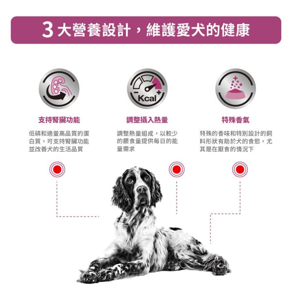 皇家【犬】腎臟病精選配方乾糧  RSE12犬腎臟精選處方2kg 狗腎臟病飼料、狗處方飼料、Royal Canin RSE12、Renal Select 狗飼料、犬慢性腎病、腎臟照護犬糧