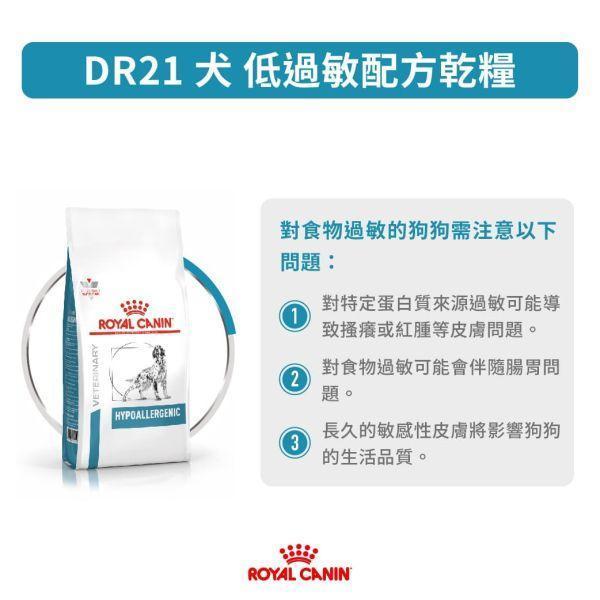 皇家 DR21 犬低過敏處方乾糧｜Hypoallergenic 水解蛋白配方 7KG 犬低過敏飼料、犬水解蛋白飼料、Royal Canin DR21、Hypoallergenic 犬糧、犬食物過敏、獸醫處方犬飼料