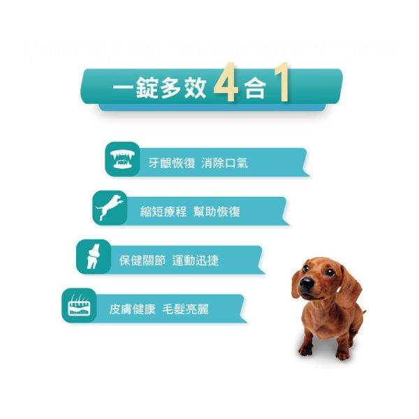 【賽恩威特】 一錠護 1-TDC｜犬貓關節保健 牙齦護理 皮膚修護 美毛營養品 關節靈活 抗發炎 提升行動力 賽恩威特,一錠護,1-TDC,關節保健,犬貓關節,牙齦保健,狗關節保養,貓牙齦炎,皮膚修護,抗發炎營養品,美毛保健,行動力提升