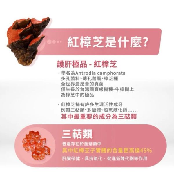 【賽恩威特】 甘疸能 ReLiver 60粒｜犬貓肝臟保健配方 含紅棗靈芝子 寵物保肝營養品 提升代謝力 維護肝功能 賽恩威特,甘疸能,ReLiver,犬貓肝臟保健,保肝配方,寵物保肝,狗肝臟保健,貓肝臟保健,紅棗靈芝,肝臟營養補充,肝臟修復,HealthPet