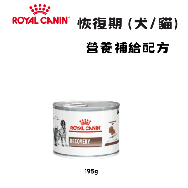 皇家  恢復期營養補給處方罐 195g｜貓犬適用｜術後康復 高熱量處方罐 Royal Canin Recovery

恢復期營養補給罐

貓犬術後營養

高熱量處方罐

貓狗恢復期罐頭

住院術後犬貓飲食

皇家恢復期處方

ICU 營養補充

貓狗病後營養