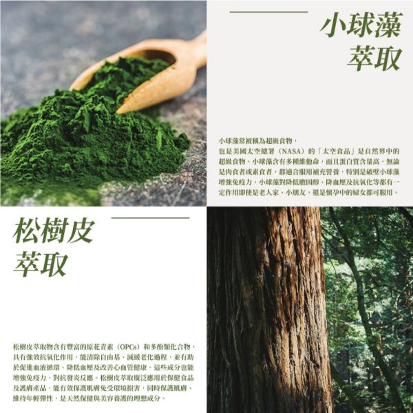 White Bay 白色海灣 藻降康膠囊30粒 