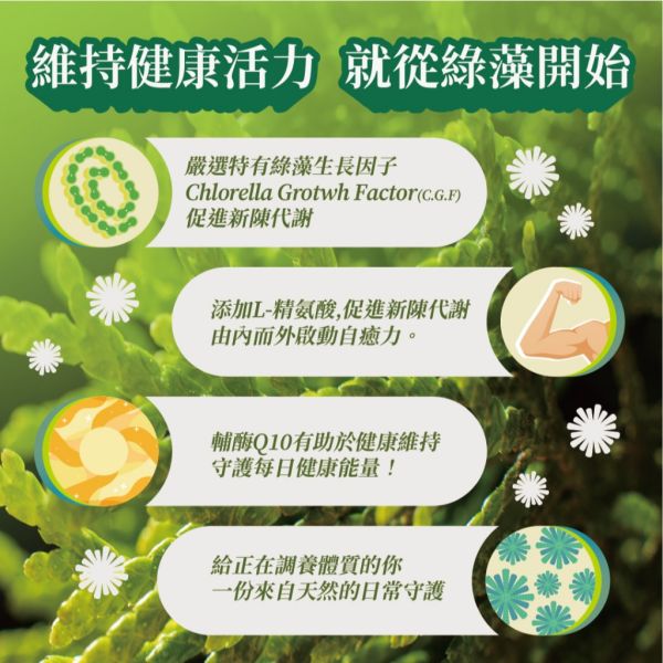 White Bay 白色海灣 藻降康膠囊30粒 
