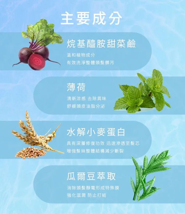 SL海洋深層洗髮精 