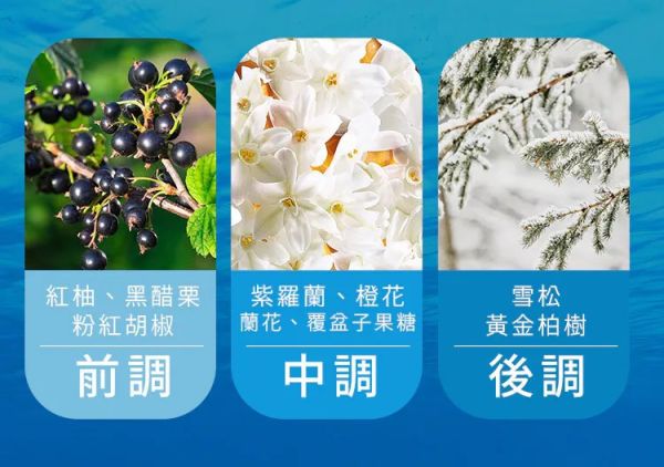 SL海洋深層洗髮精 