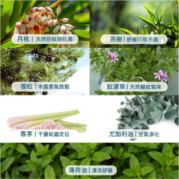 〖白色海灣 WHITE BAY〗草本驅蚊防禦噴霧 ｜植萃防護｜海洋友善 