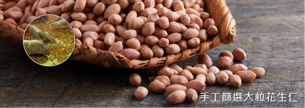 【油籽學堂】有機臺灣花生醬 