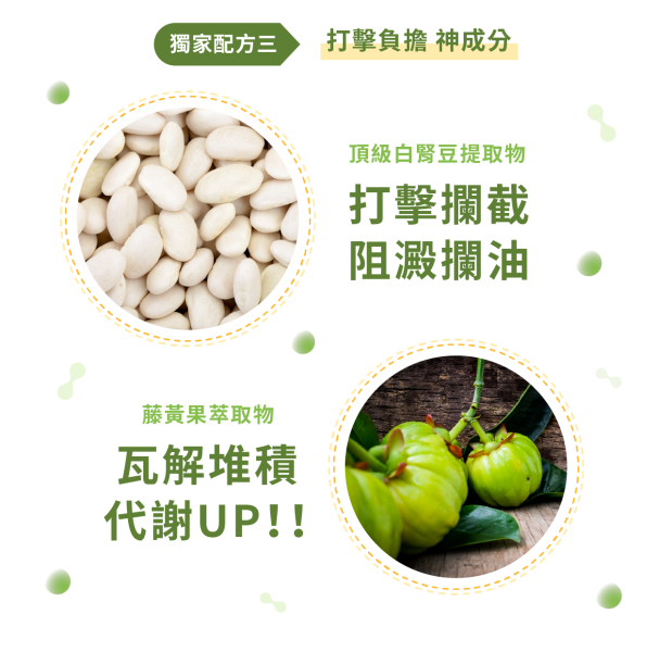 雪莉妍 衣架子益生菌 