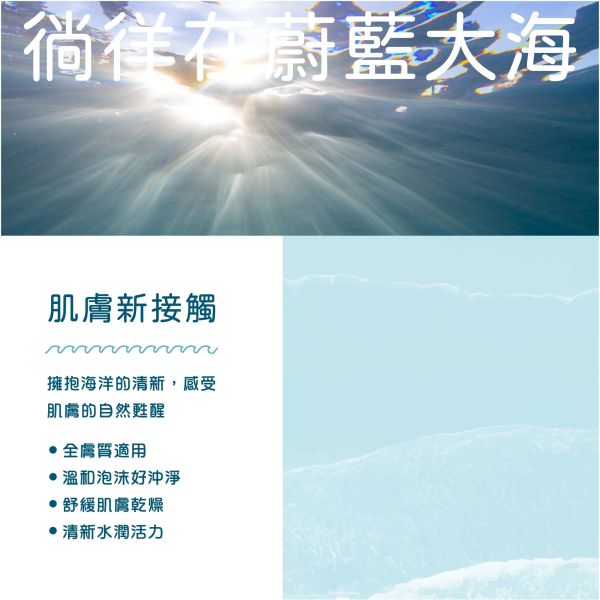 〖白色海灣 WHITE BAY〗海洋深層沐浴露 ｜海洋香氛｜海洋友善 