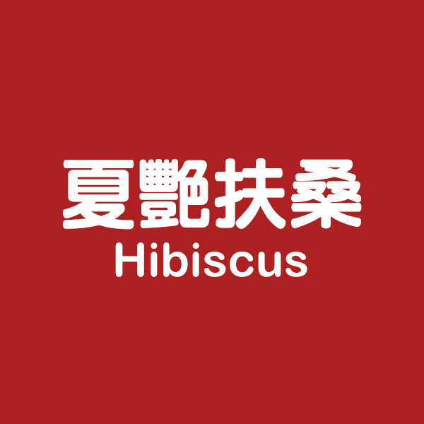 【誘人唇釉】設計師訂製絨霧雙頭唇釉(期限至2024.9.29) 唇釉,唇膏,唇油,口紅,持久,優雅,唇蜜,約會,玫瑰,彩妝