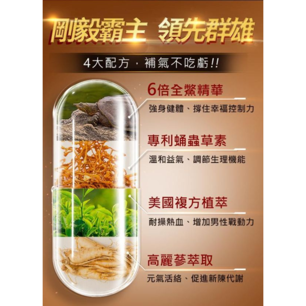 UNIQMAN 專利鱉精 膠囊 (60粒/盒)【堅持不懈｜多入更優惠】 鱉精,補腎,蛹蟲草,漢方保健
