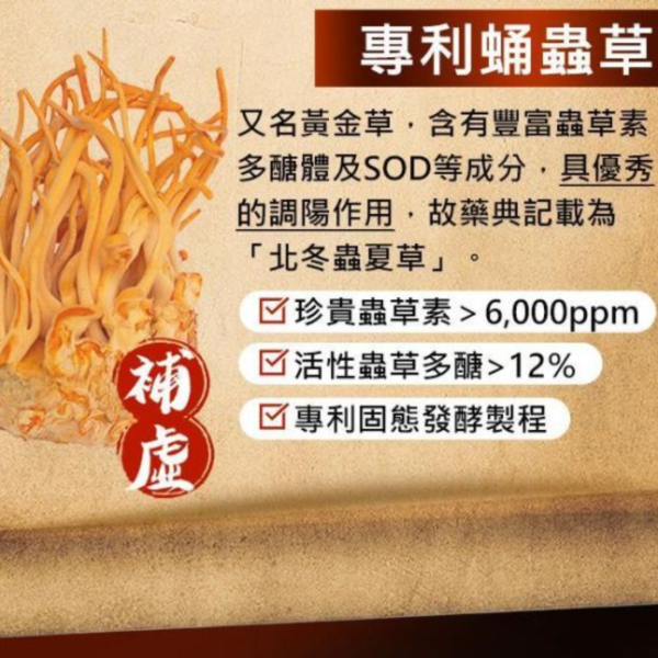 UNIQMAN 專利鱉精 膠囊 (60粒/盒)【堅持不懈｜多入更優惠】 鱉精,補腎,蛹蟲草,漢方保健