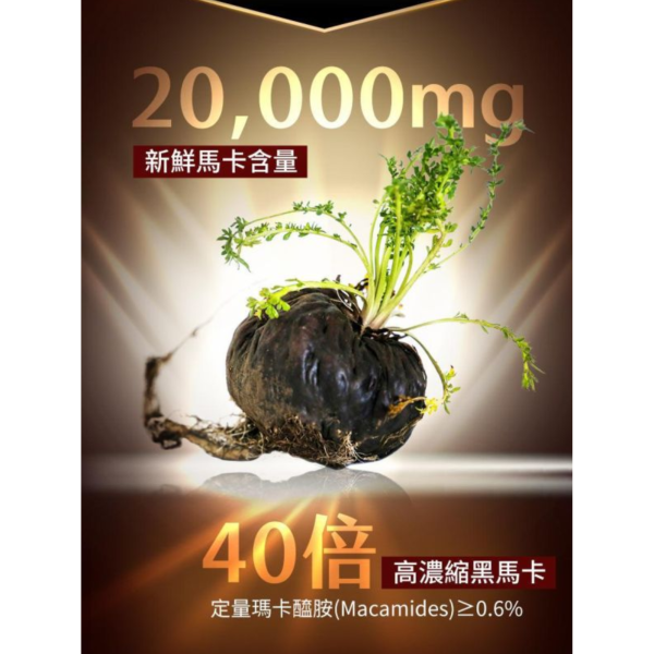 UNIQMAN 純黑瑪卡 素食膠囊 (60粒/盒)【定量瑪卡醯胺｜多入優惠】 黑瑪卡,瑪卡推薦,男性保健,提神,戰力,瑪卡功效,精力,祕魯瑪卡,強身,男人必備,瑪卡醯胺