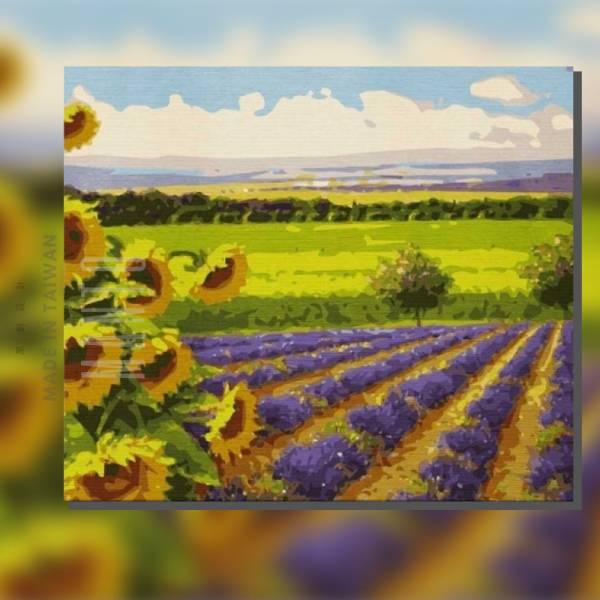 向日葵花田-薰衣草田｜MANTO創意數字油畫(4050) 薰衣草,向日葵,花田,數字油畫,manto,台灣數字油畫,數字油畫批發,數字油畫團購,花卉畫
