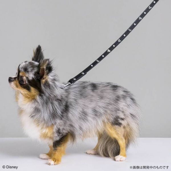 SQEX PETs 王國之心 PETs 單字圖樣寵物牽繩 SQEX PETs 王國之心 PETs 單字圖樣寵物牽繩