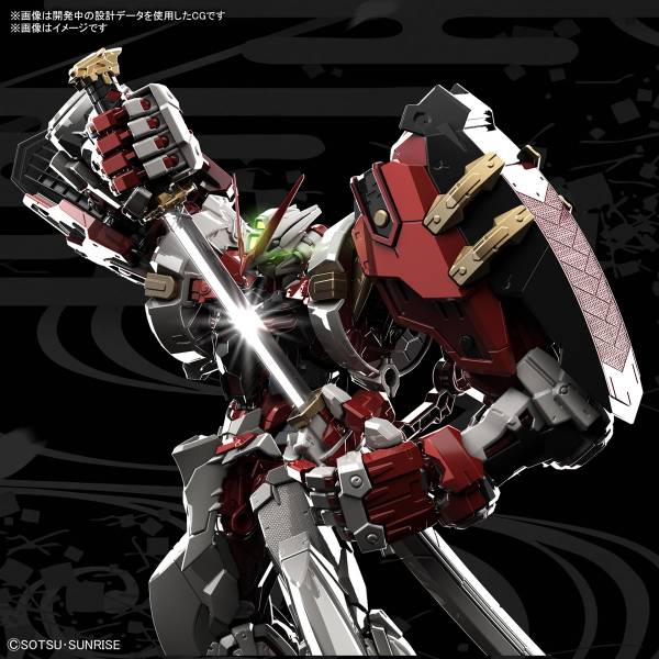 BANDAI 1/100 HiRM 異端鋼彈紅色機 高出力型 機動戰士 鋼彈SEED 組裝模型 BANDAI,1/100,HiRM,異端鋼彈,紅色機,高出力型,機動戰士,鋼彈SEED,組裝模型