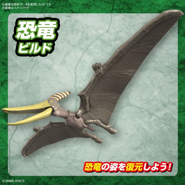 BANDAI 新恐龍組裝模型 07 無齒翼龍 組裝模型 BANDAI 新恐龍組裝模型 07 無齒翼龍 組裝模型