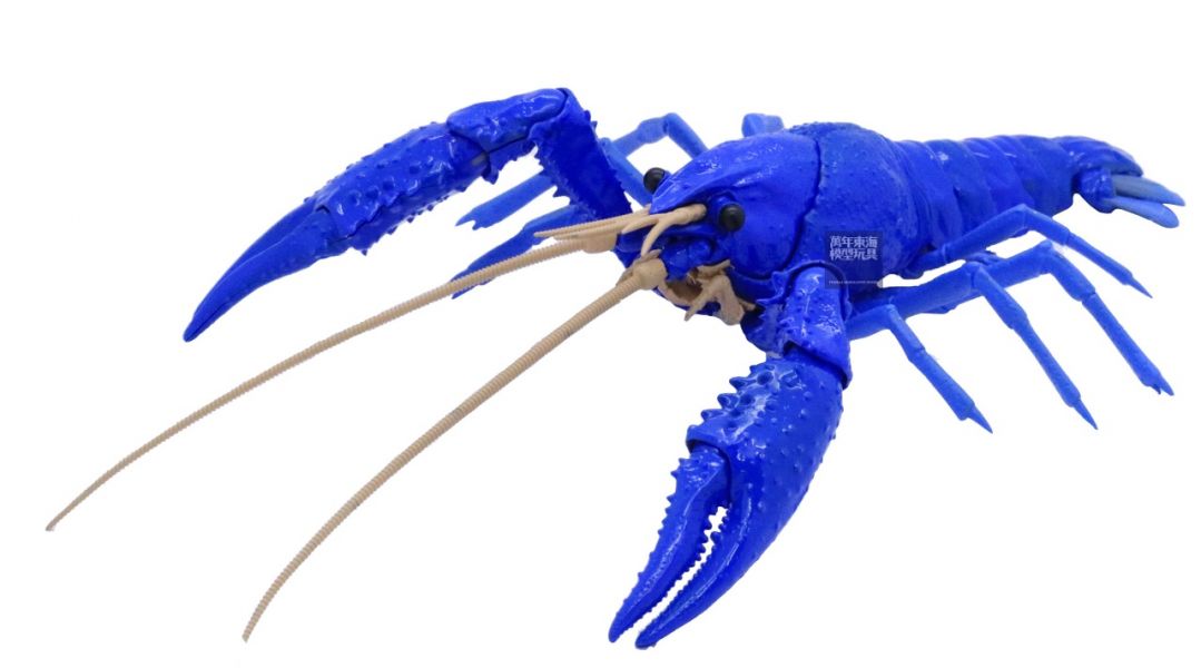 美國螯蝦 藍色 FUJIMI 自由研究24EX1 生物編 富士美 組裝模型 FUJIMI,自由研究,生物,美國螯蝦,藍色,
