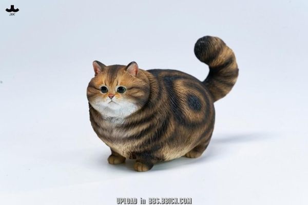 (預購) JXK Studio 動物公仔 胖團貓 JXK390A/JXK390C/JXK390D/JXK390E/JXK390F 分別販售 20261105 JXK Studio 動物公仔 胖團貓 JXK390A/JXK390C/JXK390D/JXK390E/JXK390F 分別販售