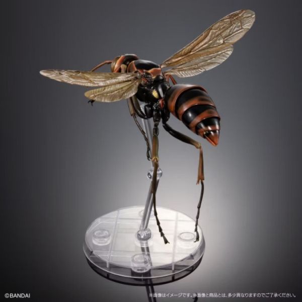 (預購) BANDAI 扭蛋 生物大圖鑑 馬蜂亞科 展示架套裝 全3款 隨機3入販售 20251029 (預購) BANDAI 扭蛋 生物大圖鑑 馬蜂亞科 展示架套裝 全3款 隨機3入販售 20251029