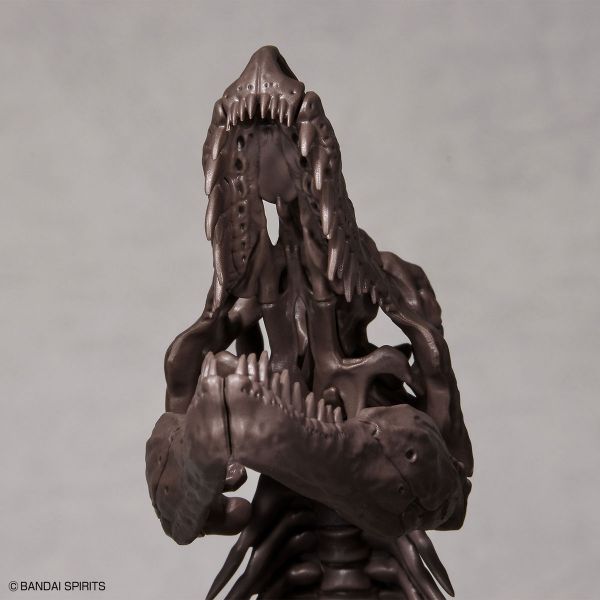 BANDAI 1/32 幻想骨骼系列 暴龍 組裝模型 BANDAI,1/32,幻想骨骼系列,暴龍,組裝模型,