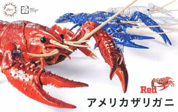美國螯蝦 紅色 FUJIMI 自由研究24 生物編 富士美 組裝模型 FUJIMI,自由研究,生物,美國螯蝦,紅色,