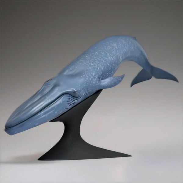 (預購) Kaiyodo 海洋堂 國立科學博物館 戶外展示 藍鯨 20261117 Kaiyodo 海洋堂 國立科學博物館 戶外展示 藍鯨