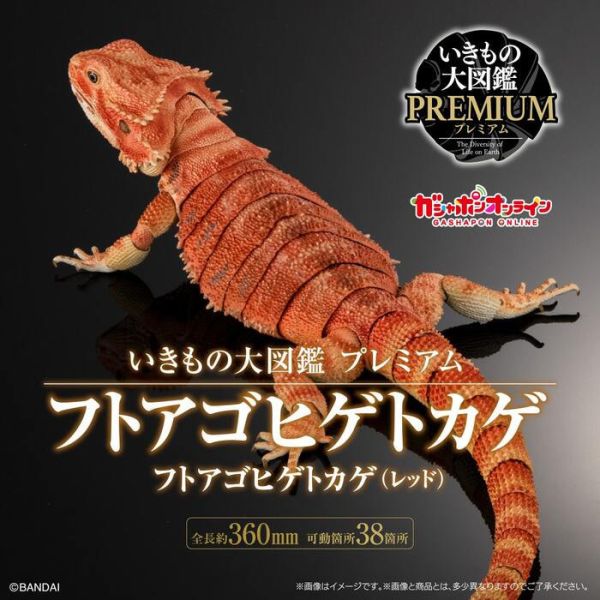 BANDAI 生物大圖鑑 擬真 鬃獅蜥 紅色 可動塗裝完成品 非真實生物 BANDAI 扭蛋 生物大圖鑑 鬃獅蜥 紅色