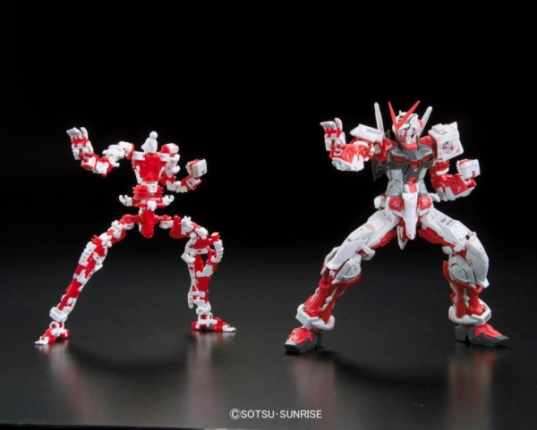 BANDAI 1/144 RG 019 異端鋼彈紅色機 機動戰士 鋼彈SEED MSV 組裝模型 BANDAI,1/144,RG,019,異端,鋼彈,紅色機,機動戰士,鋼彈,SEED,MSV,組裝模型,