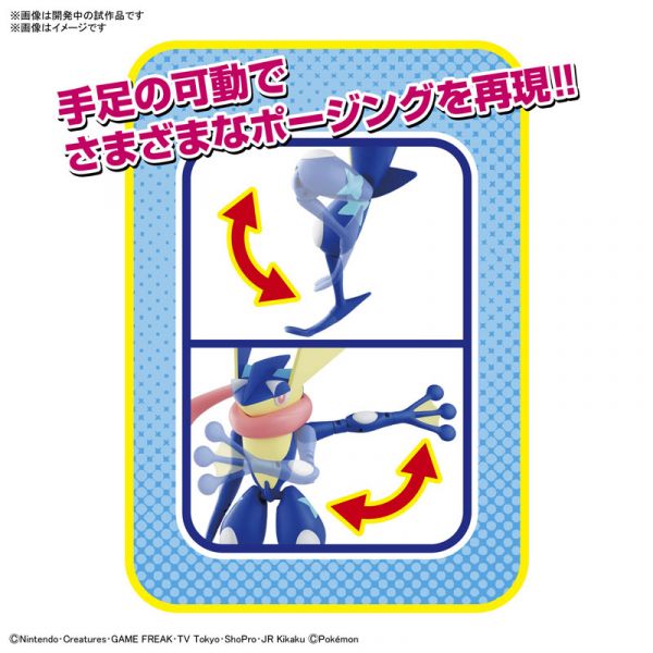BANDAI 精靈寶可夢 神奇寶貝 Pokemon PLAMO 收藏集 047 甲賀忍蛙 組裝模型 BANDAI,精靈寶可夢,神奇寶貝,Pokemon,PLAMO,收藏集,047,甲賀忍蛙,組裝模型,