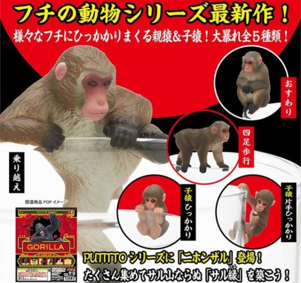 KITAN 扭蛋 日本獼猴杯緣裝飾 全5種 隨機5入販售  KITAN,扭蛋,日本獼猴杯緣裝飾,全5種 隨機5入販售, 