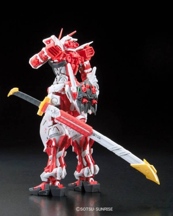 BANDAI 1/144 RG 019 異端鋼彈紅色機 機動戰士 鋼彈SEED MSV 組裝模型 BANDAI,1/144,RG,019,異端,鋼彈,紅色機,機動戰士,鋼彈,SEED,MSV,組裝模型,