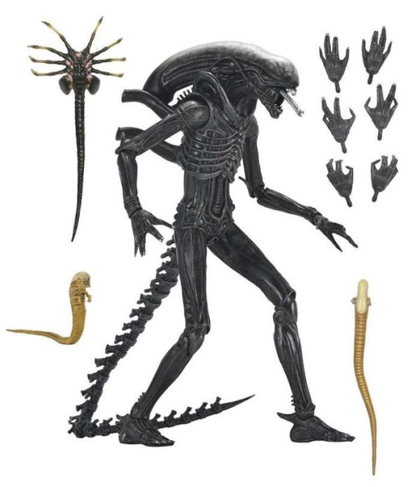 NECA 異形:羅穆路斯 終極 異形 Xenomorph XX121 7吋 可動完成品 NECA 異形:羅穆路斯 終極 異形 Xenomorph XX121 7吋 可動完成品