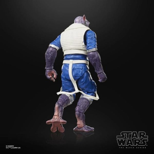 (預購) Hasbro 孩之寶 星際大戰黑標系列 曼達洛人電影 Zeb Orrelios 20260614 Hasbro 孩之寶 星際大戰黑標系列 曼達洛人電影 Zeb Orrelios