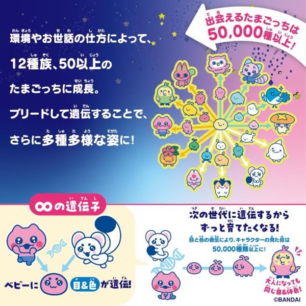 (預購) BANDAI 樂園塔麻歌子 熱帶橙果 20260527 BANDAI 樂園塔麻歌子 熱帶橙果