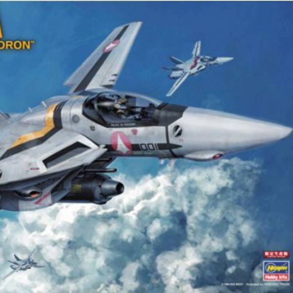 HASEGAWA 長谷川 1/48 VF-1S/A 女武神 骷髏小隊 組裝模型 HASEGAWA 長谷川 1/48 VF-1S/A 女武神 骷髏小隊 組裝模型
