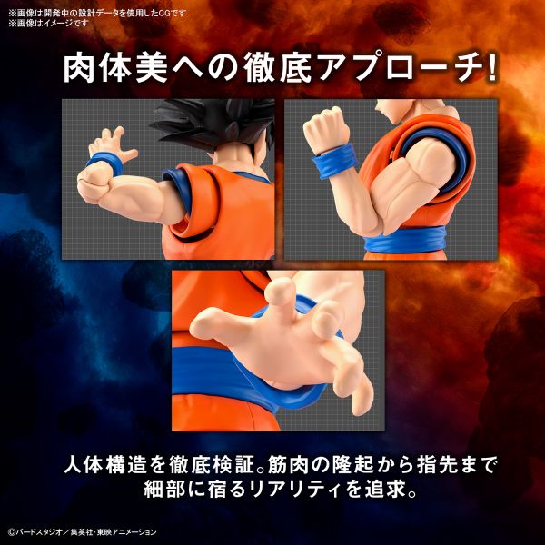 BANDAI Figure-rise Standard FRS SPEC 七龍珠 孫悟空 全新規格Ver. 組裝模型 BANDAI,Figure-rise Standard,FRS,SPEC,孫悟空,全新規格,Ver,.,組裝模型,