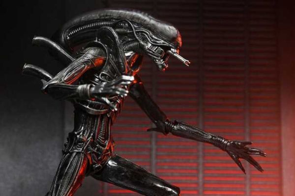 NECA 異形:羅穆路斯 終極 異形 Xenomorph XX121 7吋 可動完成品 NECA 異形:羅穆路斯 終極 異形 Xenomorph XX121 7吋 可動完成品