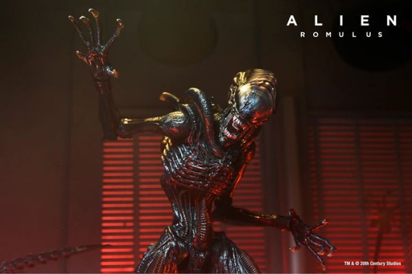 NECA 7吋 異形 羅穆路斯 灼傷異形 可動完成品 NECA 7吋 異形 羅穆路斯 灼傷異形 可動完成品