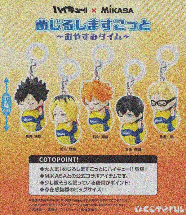 (預購) COTOFUL 扭蛋 排球少年 MIKASA公仔吊飾 睡眠篇 全5種 隨機5入販售 20251204 COTOFUL 扭蛋 排球少年 MIKASA公仔吊飾 睡眠篇 全5種 隨機5入販售