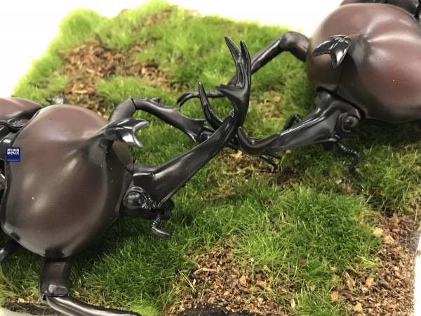 (預購) FUJIMI 富士美 自由研究 021 生物編 獨角仙 組裝模型 20250925 (預購) FUJIMI 富士美 自由研究 021 生物編 獨角仙 組裝模型 20250925