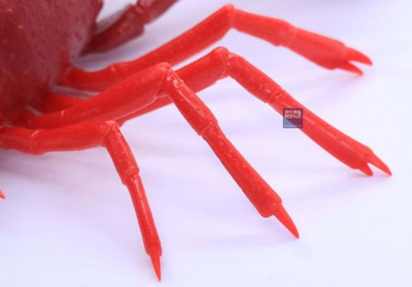 美國螯蝦 紅色 FUJIMI 自由研究24 生物編 富士美 組裝模型 FUJIMI,自由研究,生物,美國螯蝦,紅色,