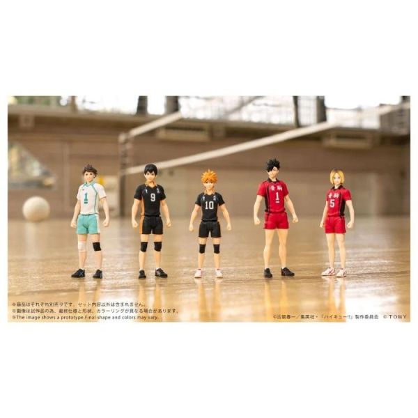 (預購) TAKARA TOMY COLLEKAZARO 排球少年 日向翔陽 CK-H01 可動完成品 20260601 TAKARA TOMY COLLEKAZARO 排球少年 日向翔陽 CK-H01 可動完成品