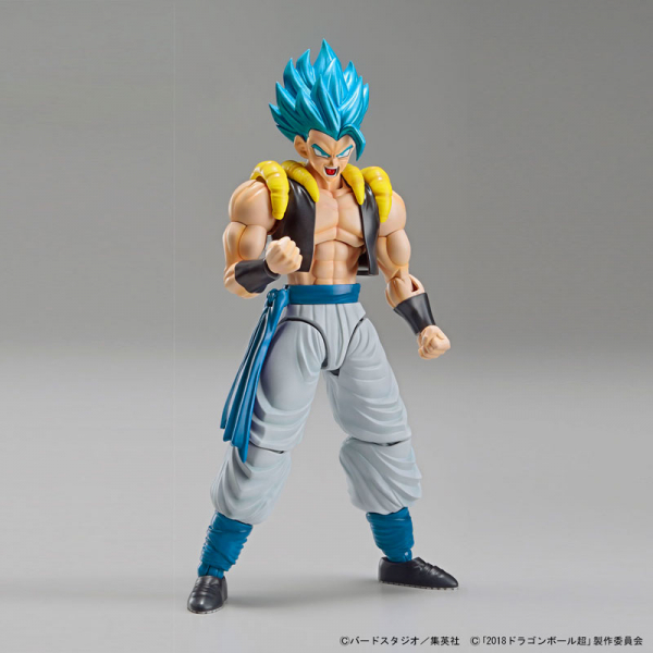 BANDAI Figure-rise Standard FRS 七龍珠 悟吉塔 超級賽亞人藍 悟達爾 組裝模型 BANDAI,Figure-rise,Standard,FRS,七龍珠,悟吉塔,超級賽亞人藍,悟達爾,組裝模型,