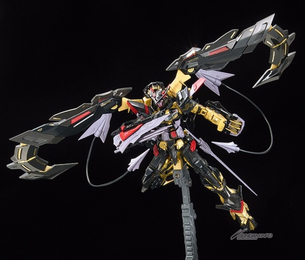 BANDAI 1/144 RG 024 異端鋼彈金色機 天蜜納 機動戰士 鋼彈SEED MSV 組裝模型 BANDAI,1/144,RG,024,異端,鋼彈,金色機,天蜜納,機動戰士,鋼彈,SEED,MSV,組裝模型