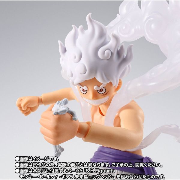 (預購) BANDAI S.H.Figuarts SHF 航海王 波爾薩利諾 未來島蛋頭 可動完成品 (預購) BANDAI S.H.Figuarts SHF 航海王 波爾薩利諾 未來島蛋頭 可動完成品