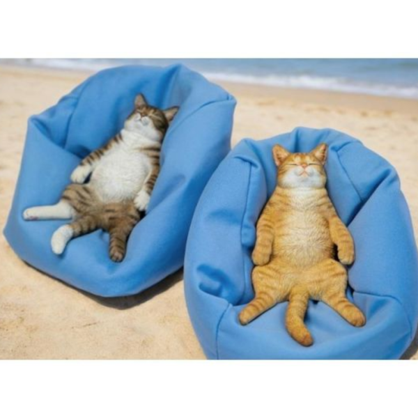 (預購) JXK336 動物 沙發懶貓 A 20260326 JXK336 動物 沙發懶貓 A