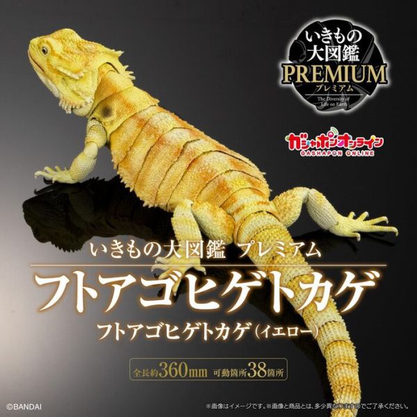 BANDAI 生物大圖鑑 擬真 鬃獅蜥 黃色 可動塗裝完成品 非真實生物 BANDAI 扭蛋 生物大圖鑑 鬃獅蜥 黃色