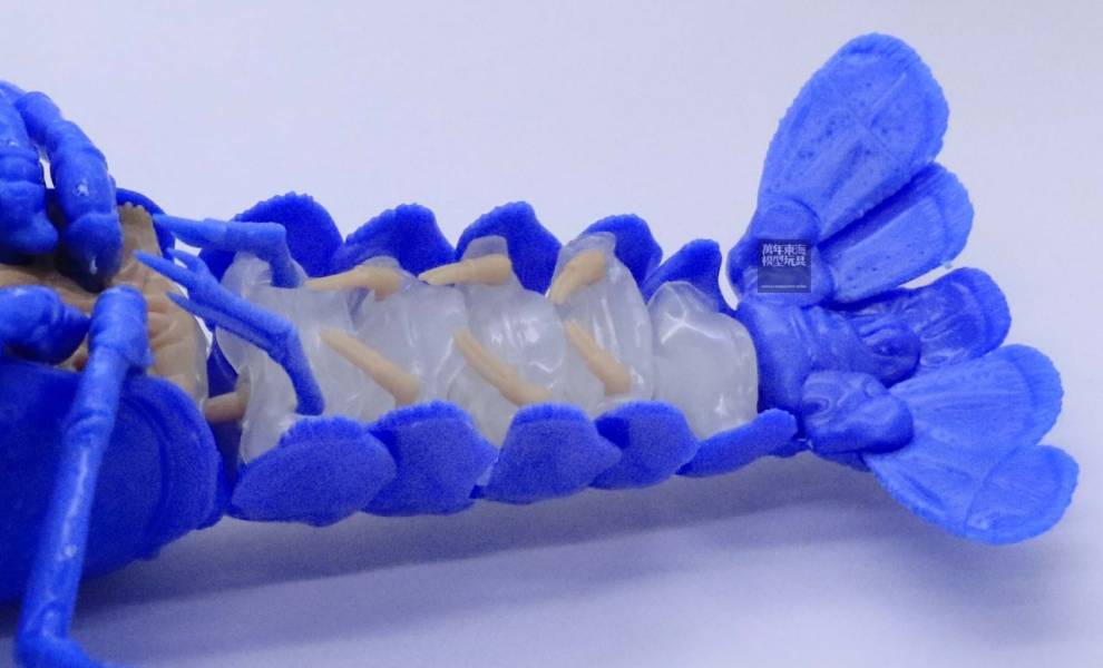 美國螯蝦 藍色 FUJIMI 自由研究24EX1 生物編 富士美 組裝模型 FUJIMI,自由研究,生物,美國螯蝦,藍色,