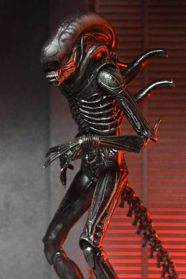 NECA 異形:羅穆路斯 終極 異形 Xenomorph XX121 7吋 可動完成品 NECA 異形:羅穆路斯 終極 異形 Xenomorph XX121 7吋 可動完成品
